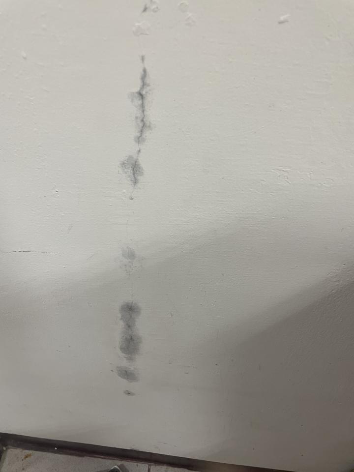抓漏案件圖片 抓漏案件圖片