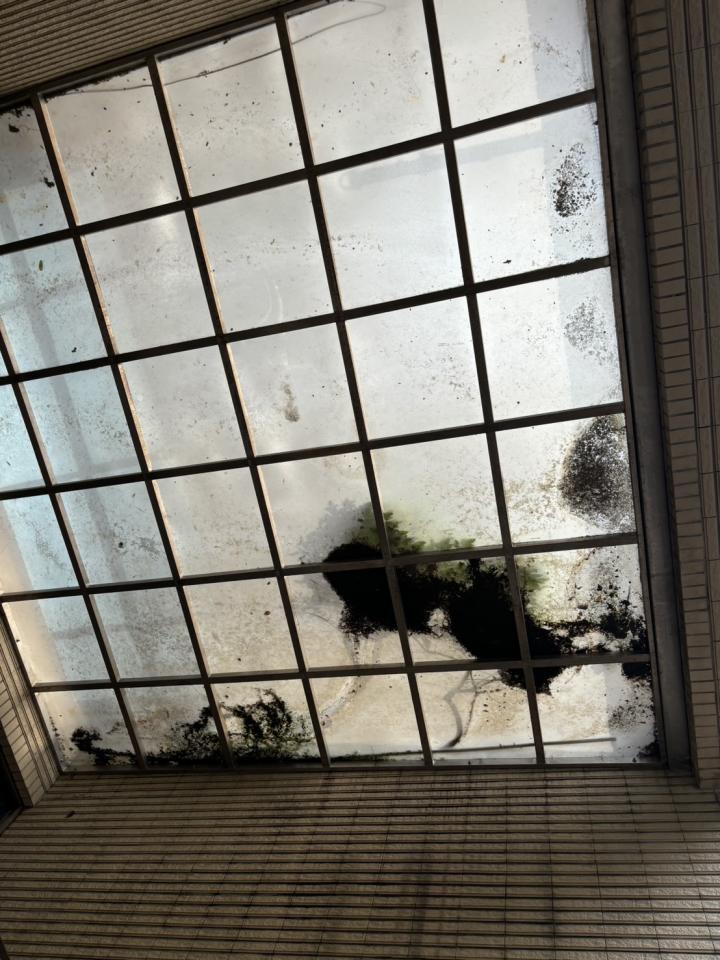 高壓清洗服務案件圖片