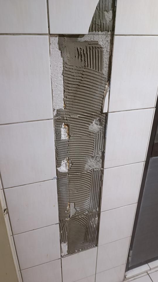 磁磚修補案件圖片