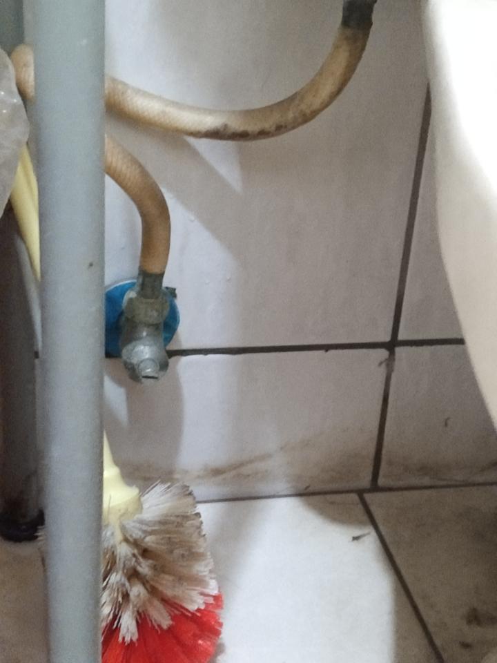 馬桶裝修案件圖片