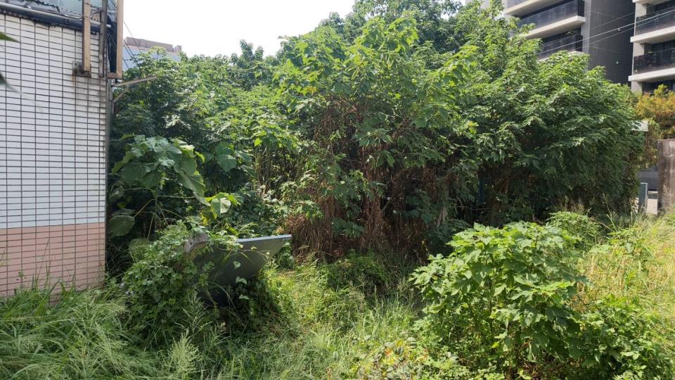 園藝維護案件圖片