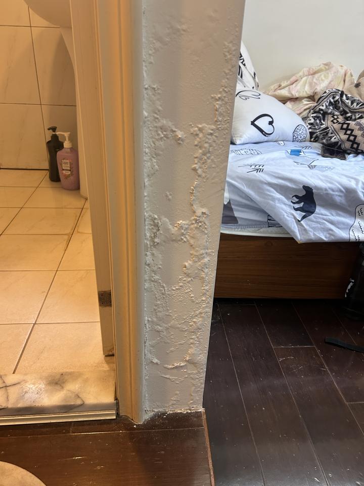 壁癌處理案件圖片