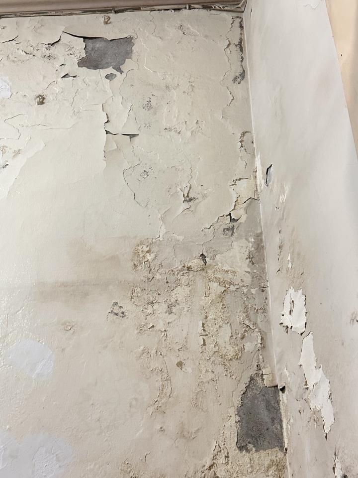 壁癌處理案件圖片
