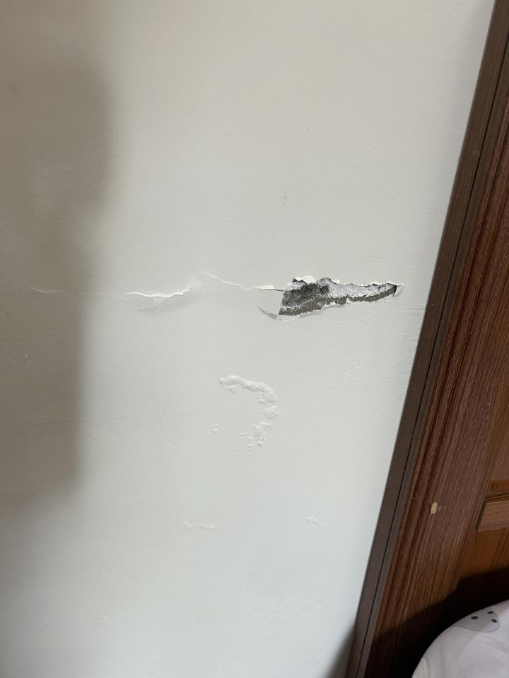 壁癌處理案件圖片