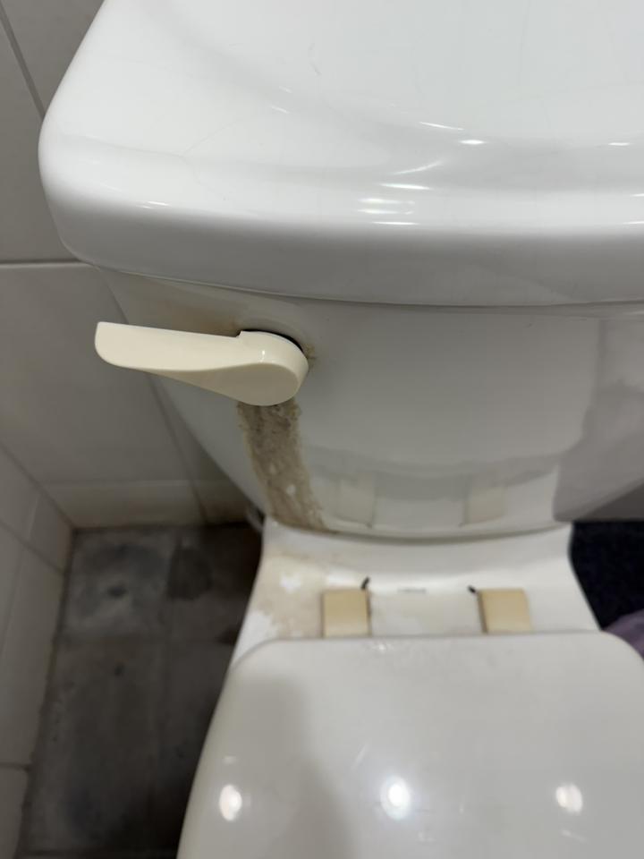 馬桶裝修案件圖片
