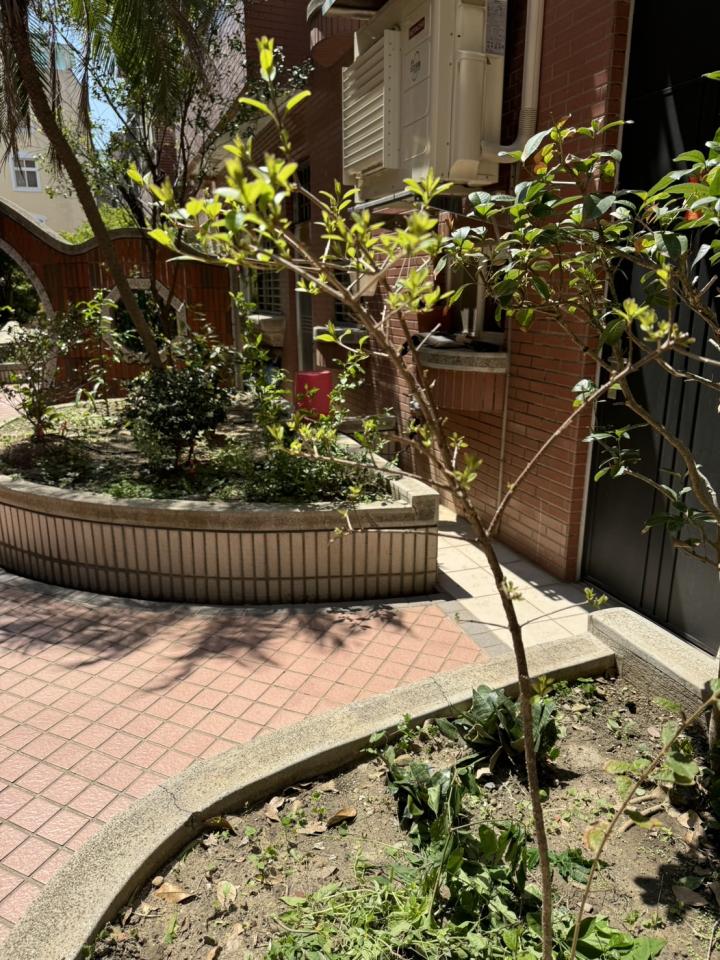 花園自動灑水系統案件圖片