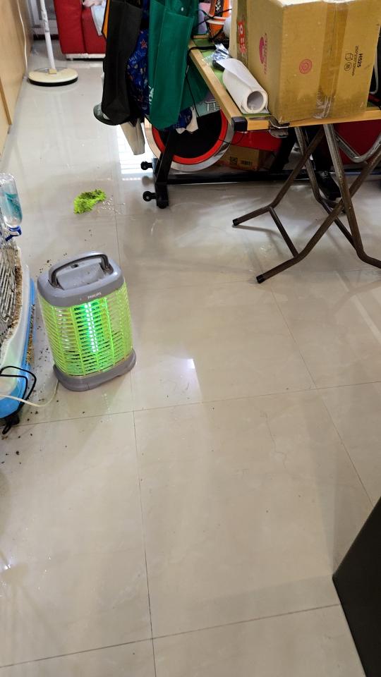 地板拋光打蠟案件圖片 地板拋光打蠟案件圖片
