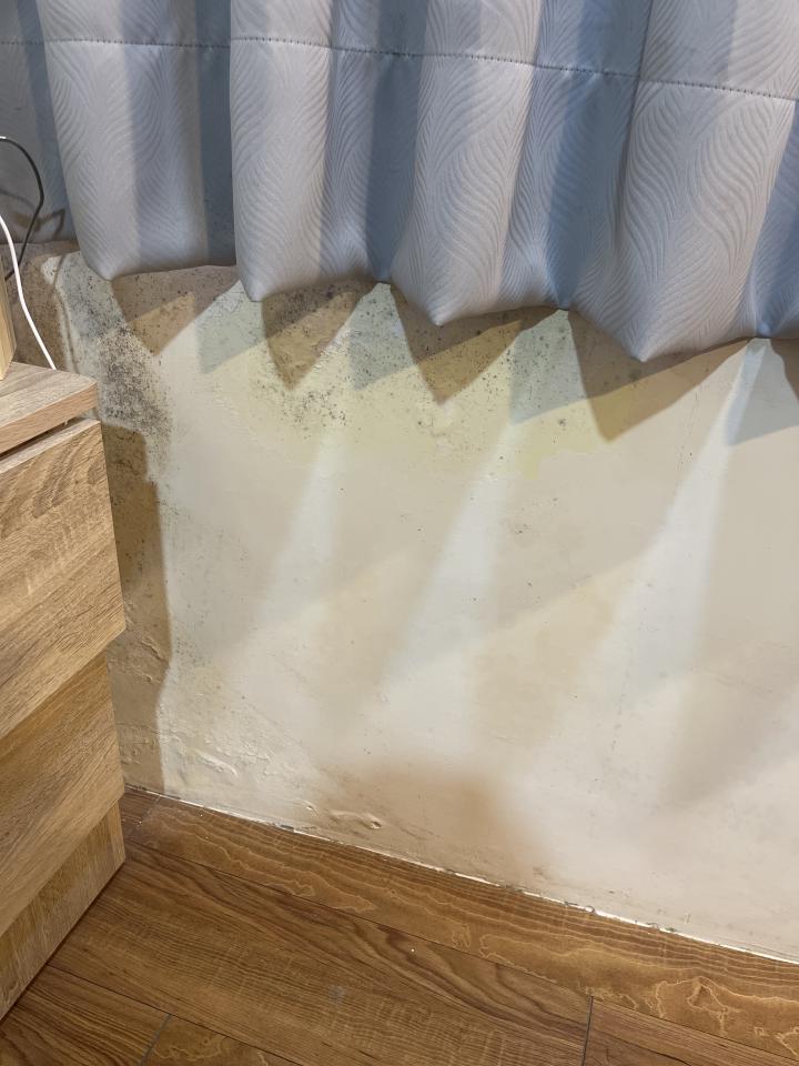 油漆工程案件圖片 油漆工程案件圖片