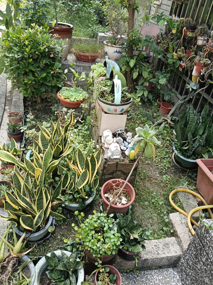 泥作/水泥施工案件圖片