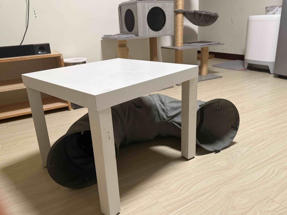 搬家案件圖片 搬家案件圖片