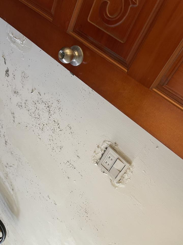 壁癌處理案件圖片