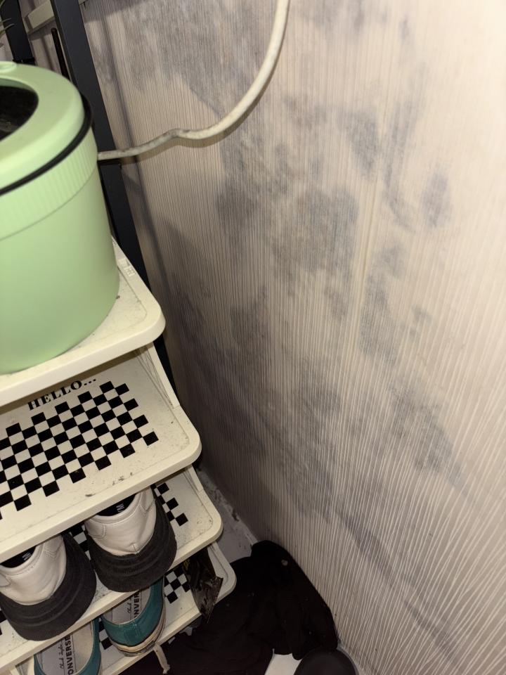 除霉案件圖片 除霉案件圖片