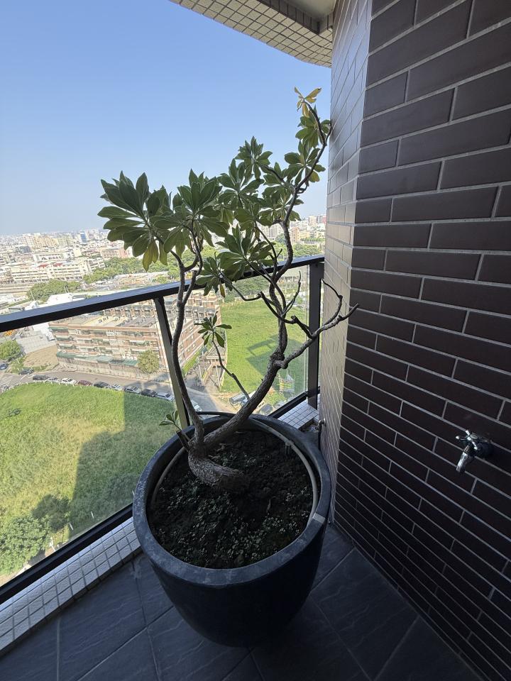 家具搬運案件圖片 家具搬運案件圖片