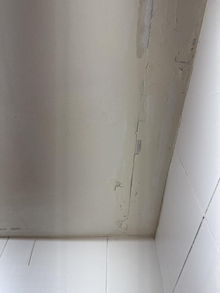 浴室翻新案件圖片