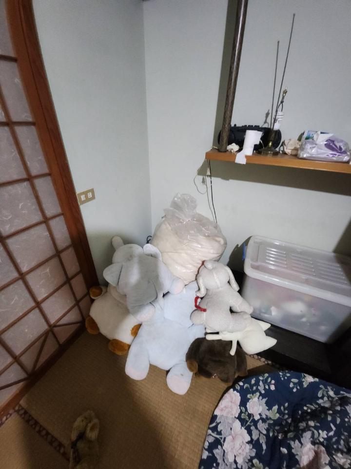 大型垃圾回收案件圖片
