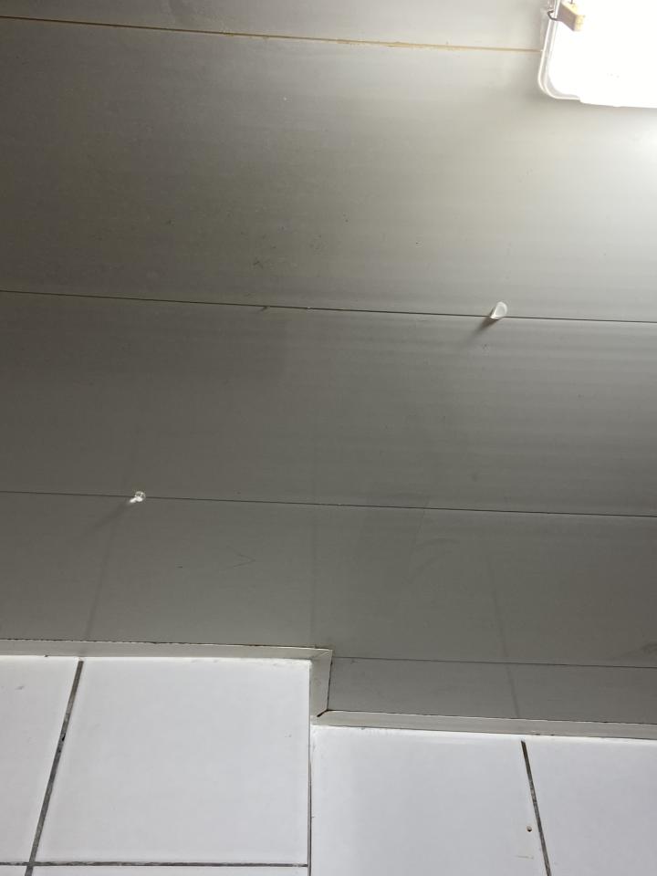 漏水鑑定案件圖片