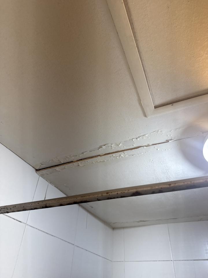 浴室翻新案件圖片