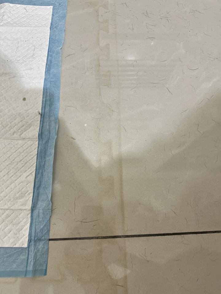 磁磚清潔案件圖片 磁磚清潔案件圖片