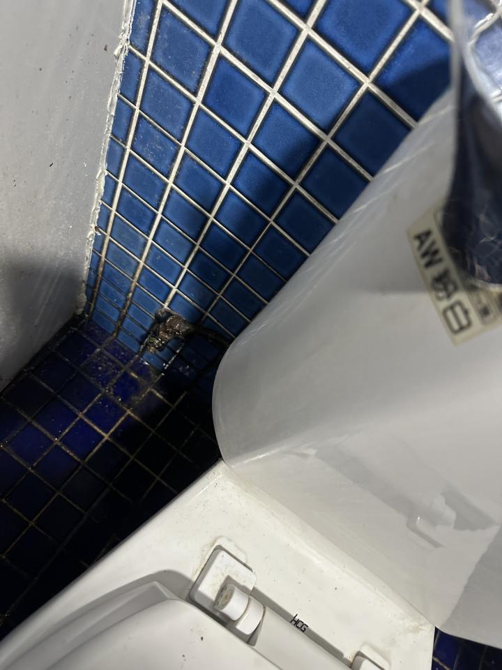 馬桶裝修案件圖片