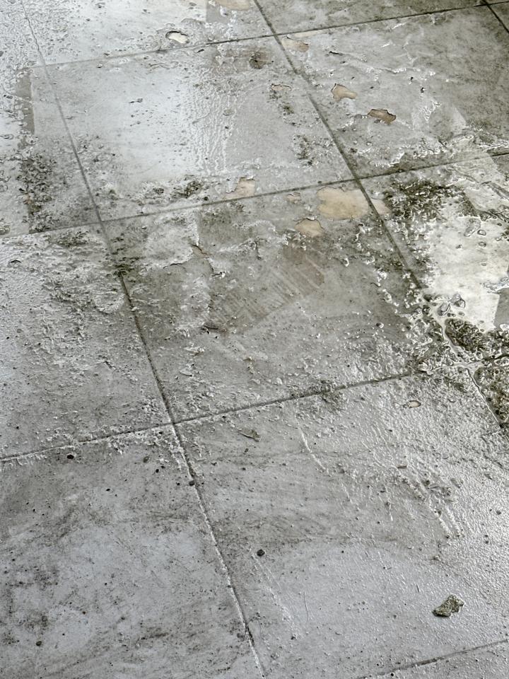 屋頂防水案件圖片