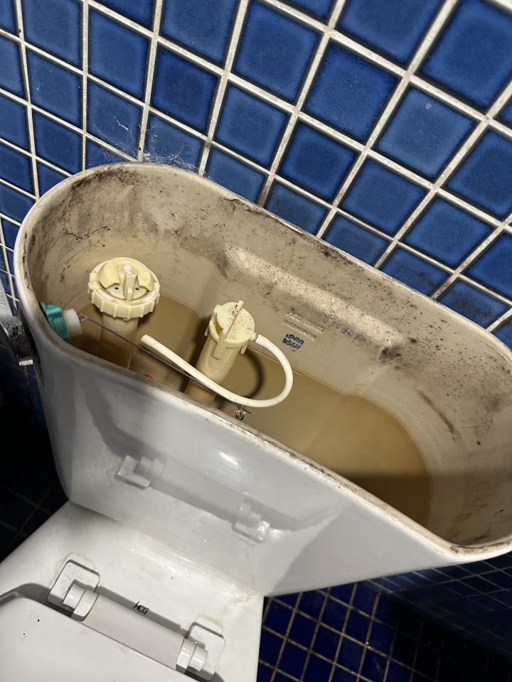馬桶裝修案件圖片