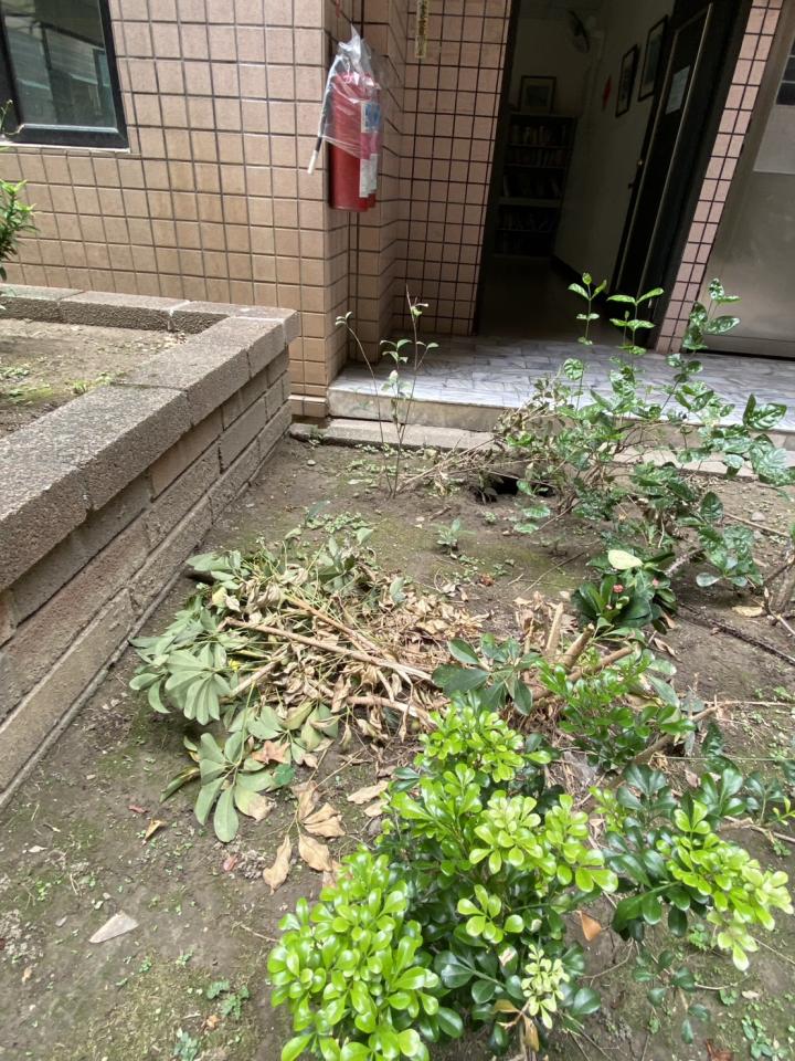 園藝維護案件圖片 園藝維護案件圖片