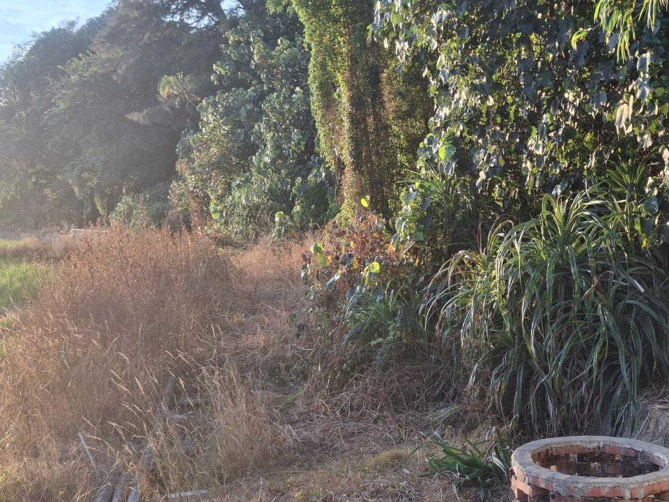 園藝維護案件圖片 園藝維護案件圖片