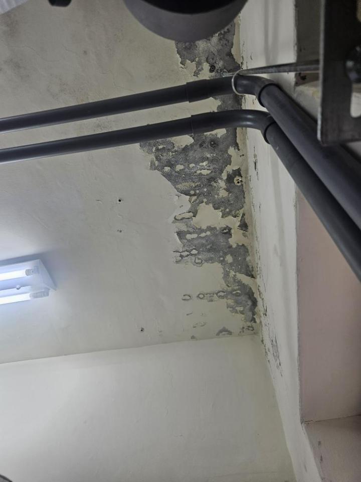 油漆工程案件圖片 油漆工程案件圖片
