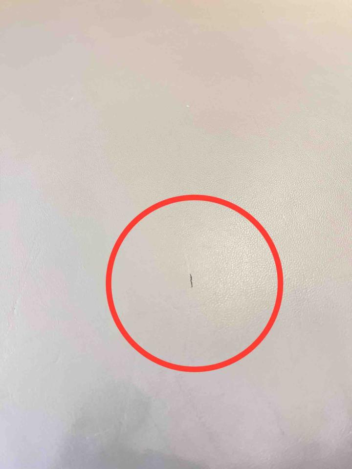 沙發修理案件圖片