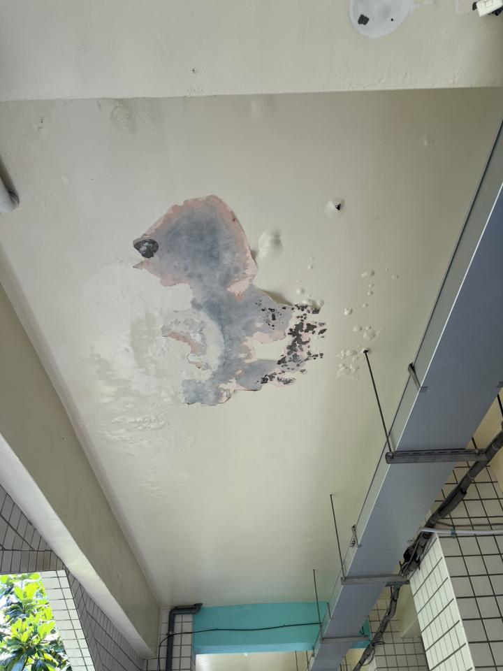 油漆工程案件圖片
