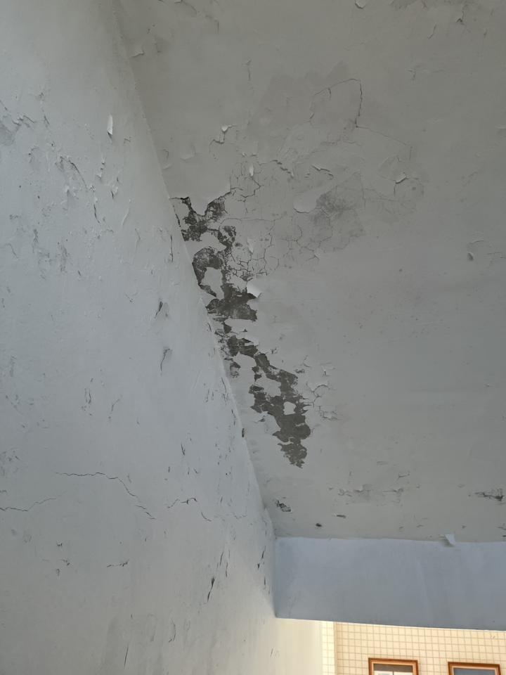 油漆工程案件圖片