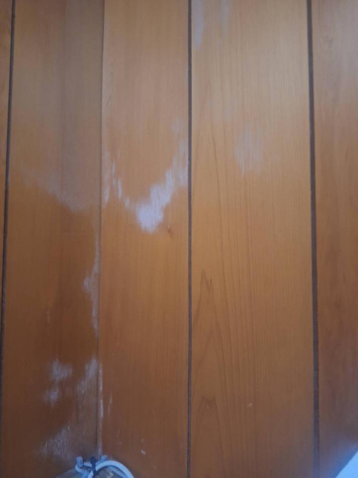除霉案件圖片