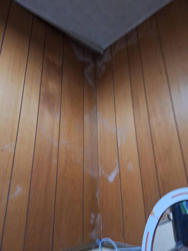 除霉案件圖片