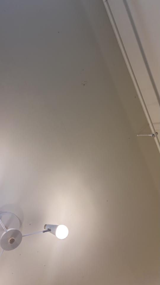 除霉案件圖片