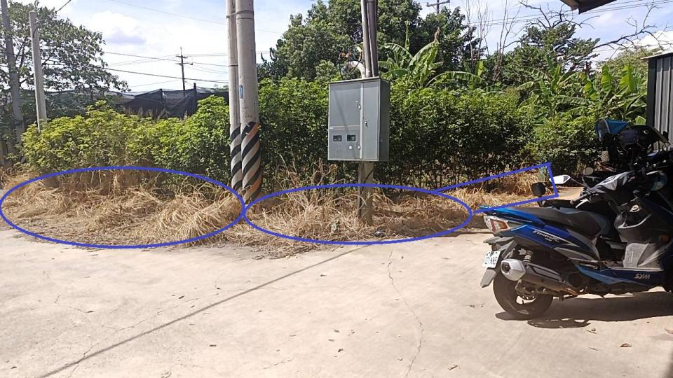 園藝維護案件圖片