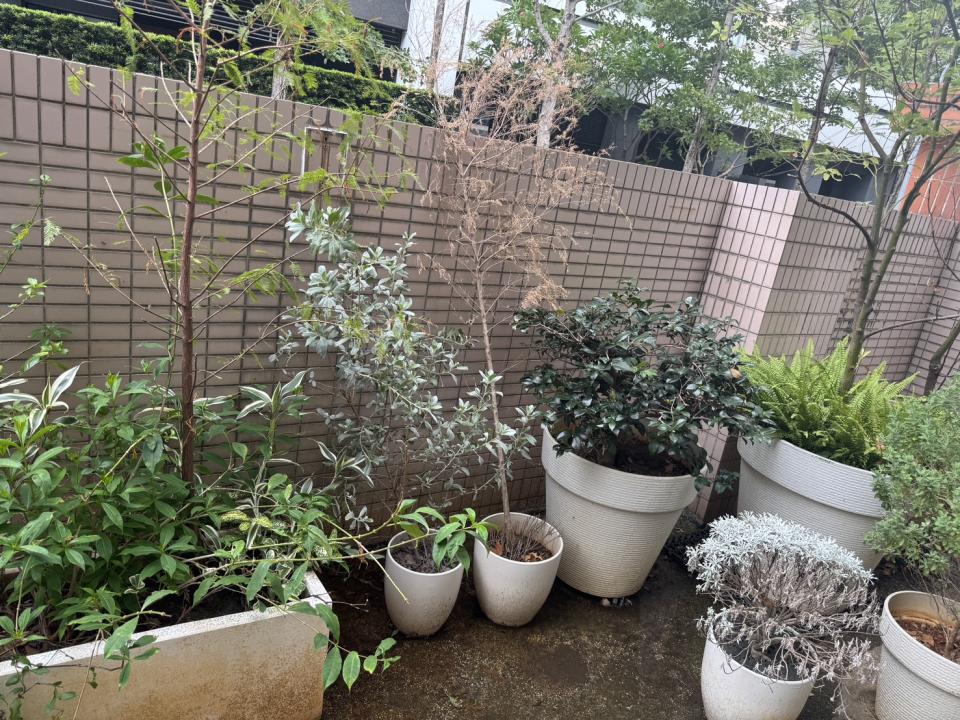 園藝維護案件圖片