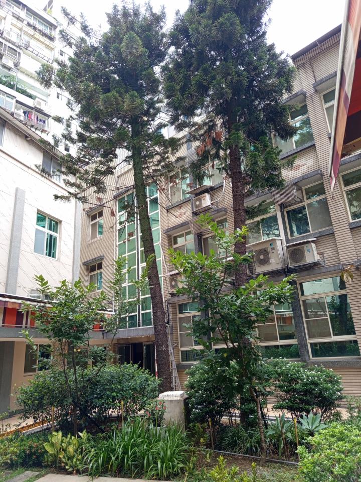園藝維護案件圖片