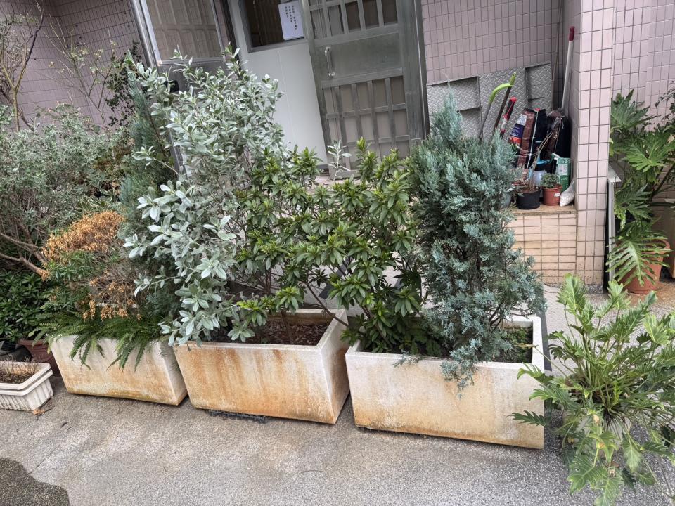 園藝維護案件圖片