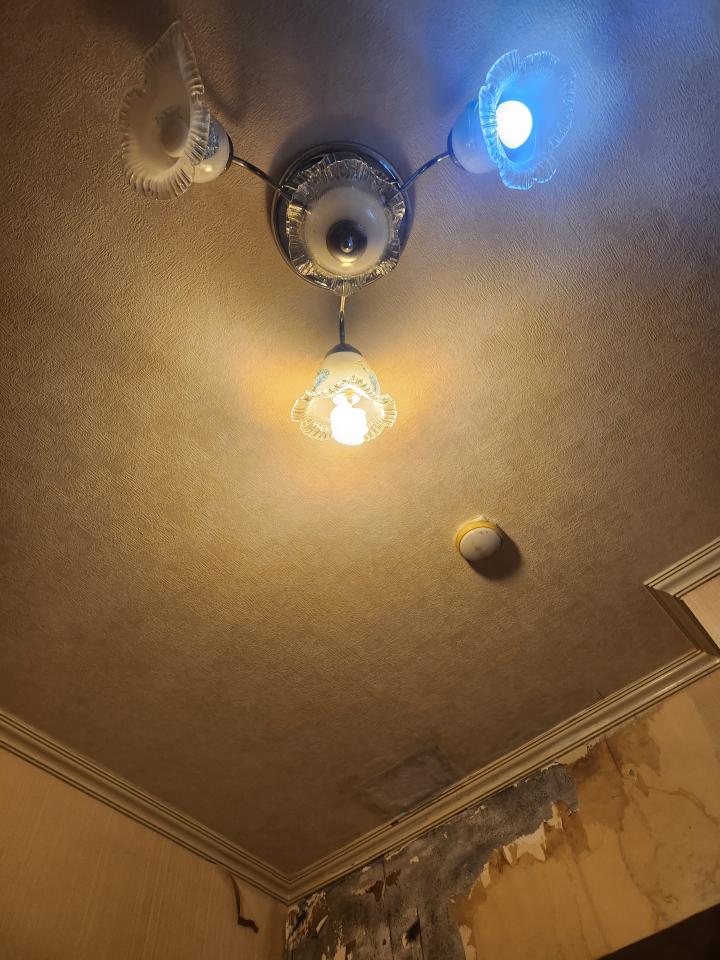 壁紙施工案件圖片 壁紙施工案件圖片