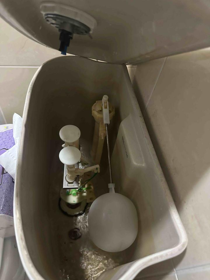 馬桶裝修案件圖片