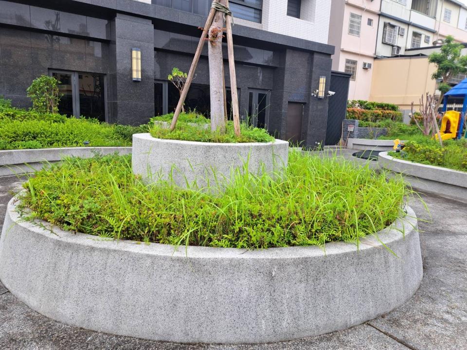 園藝維護案件圖片