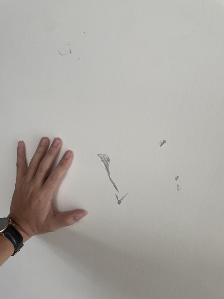 油漆工程案件圖片