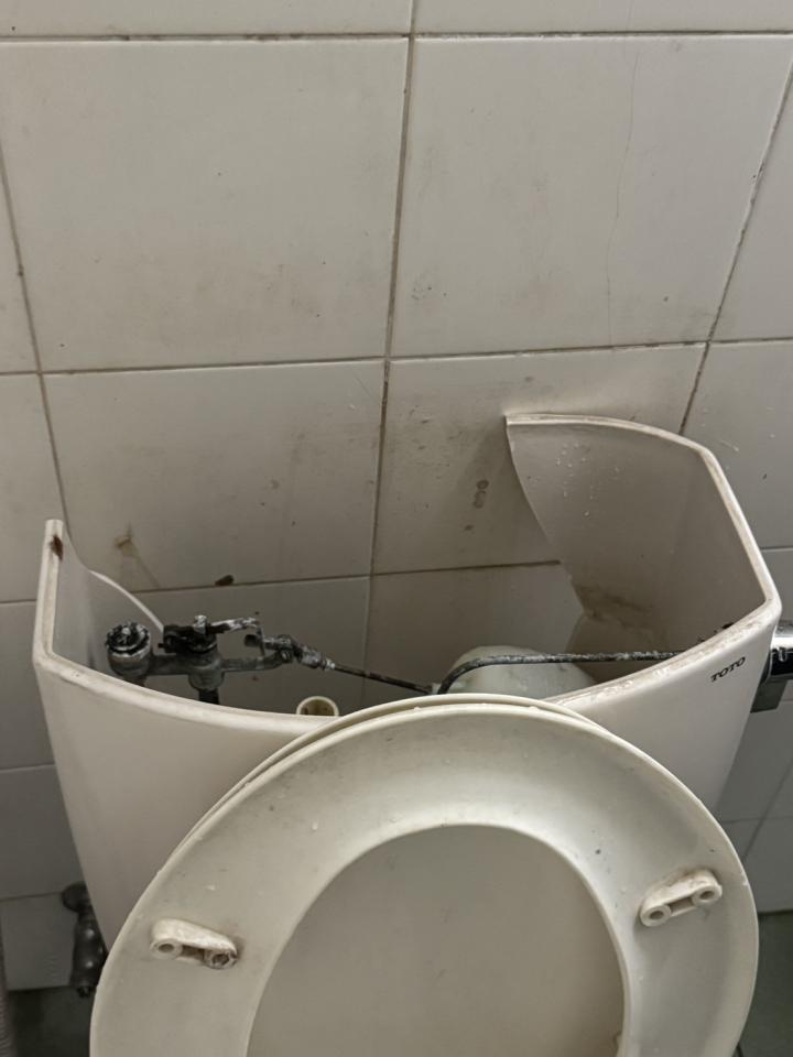 馬桶裝修案件圖片