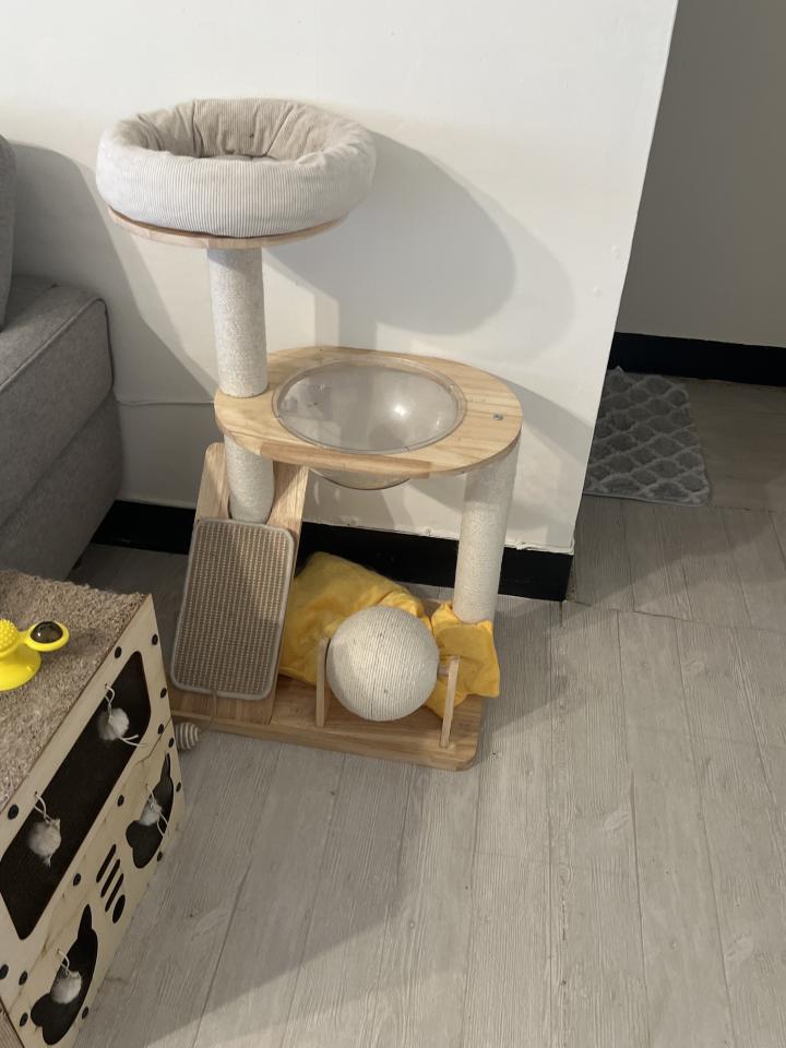 搬家案件圖片