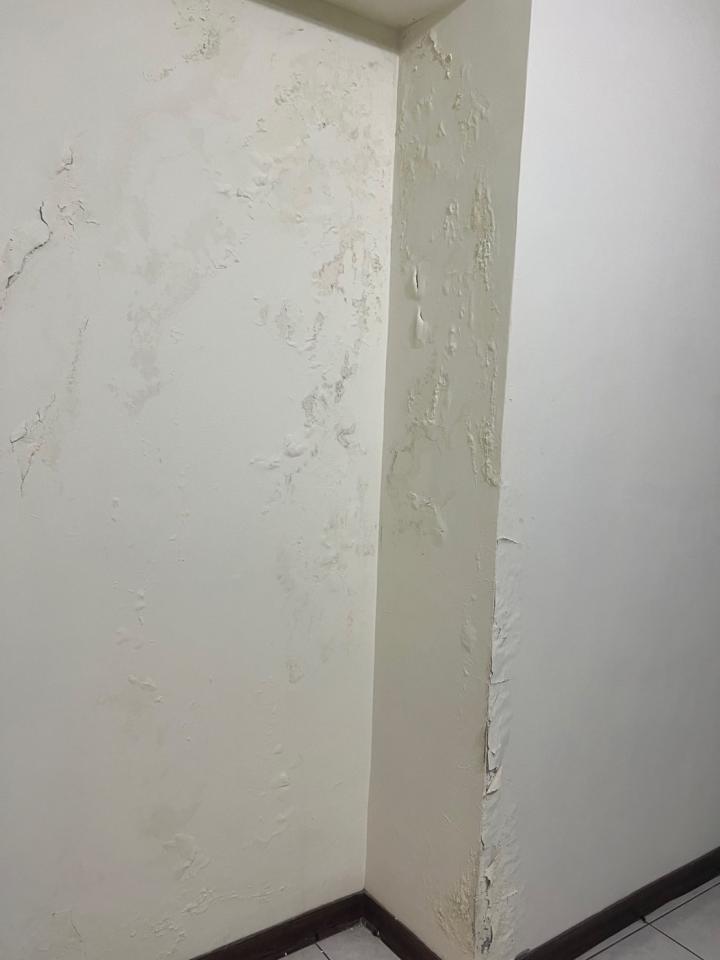 壁紙施工案件圖片