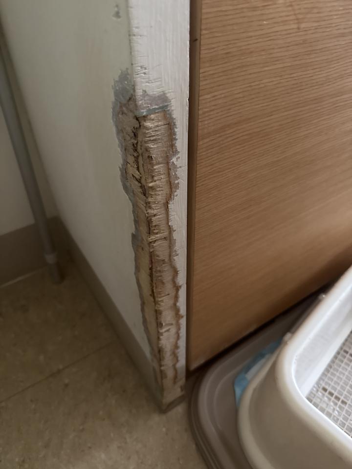 木工施工案件圖片 木工施工案件圖片