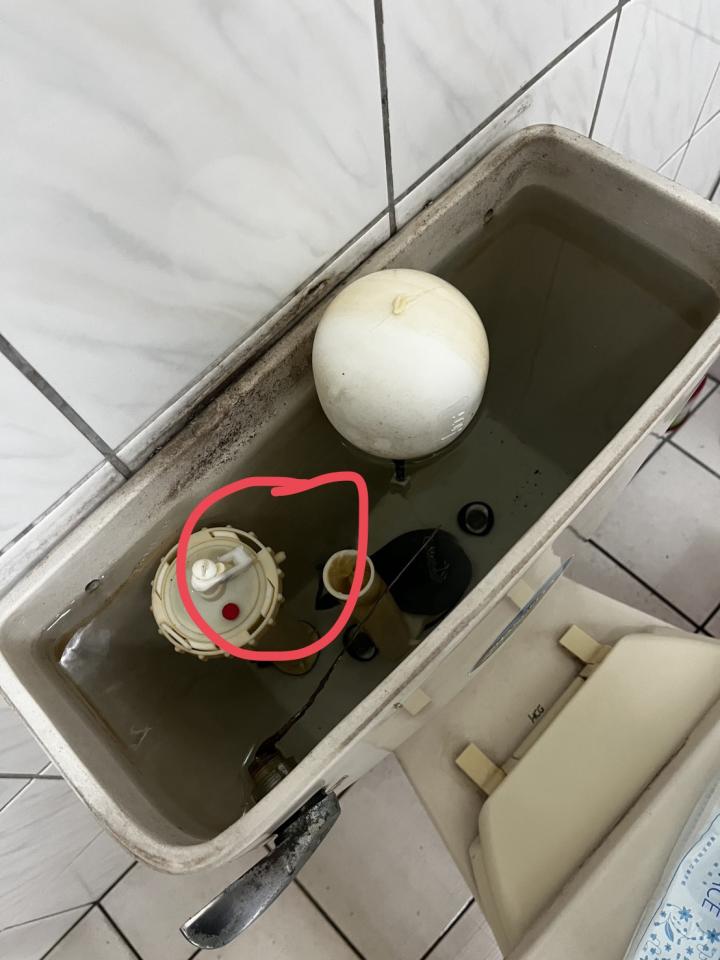 馬桶裝修案件圖片
