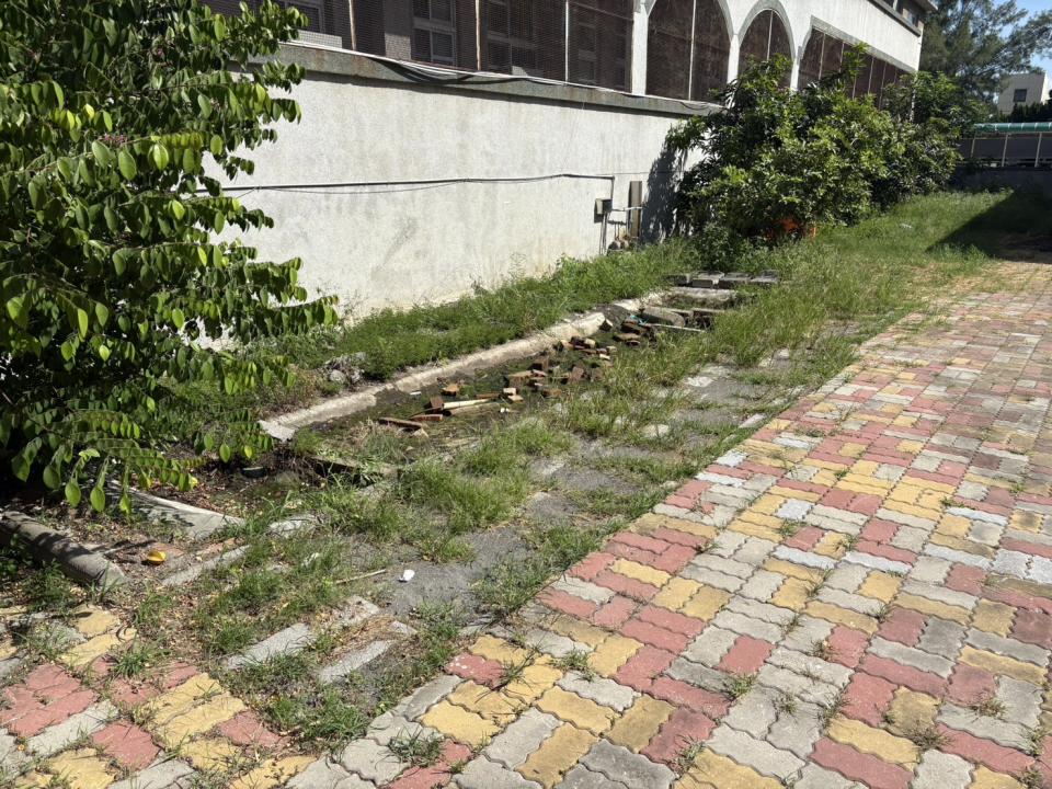 園藝維護案件圖片 園藝維護案件圖片