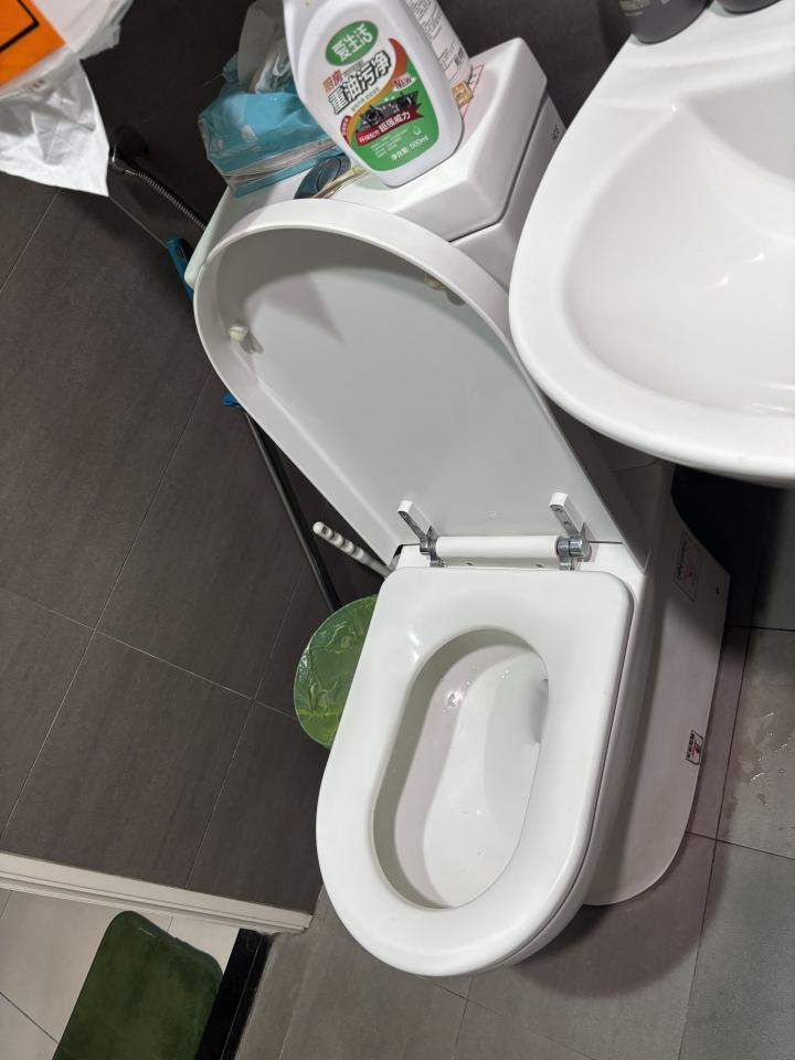 馬桶裝修案件圖片