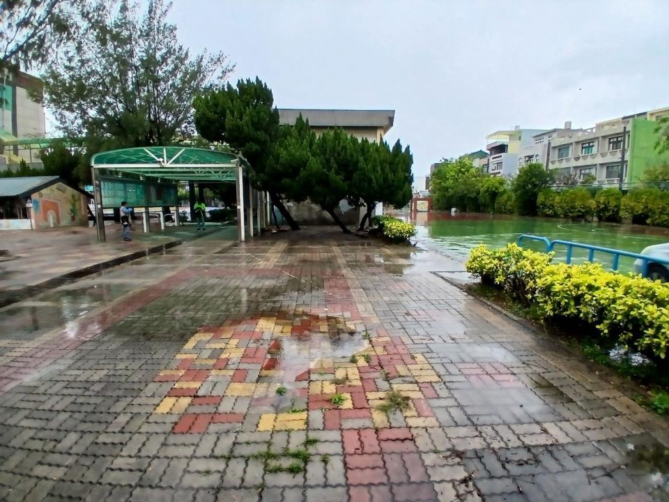 園藝維護案件圖片 園藝維護案件圖片